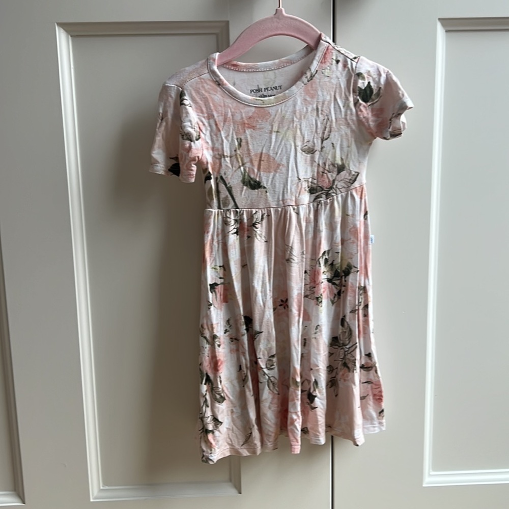 Posh Peanut Vintage Rose twirl dress